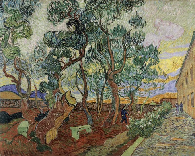 Vincent Van Gogh The Garden of the Asylum in St.Remy Norge oil painting art